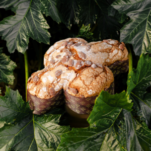 COLOMBA CLASSICA CON CANDITI